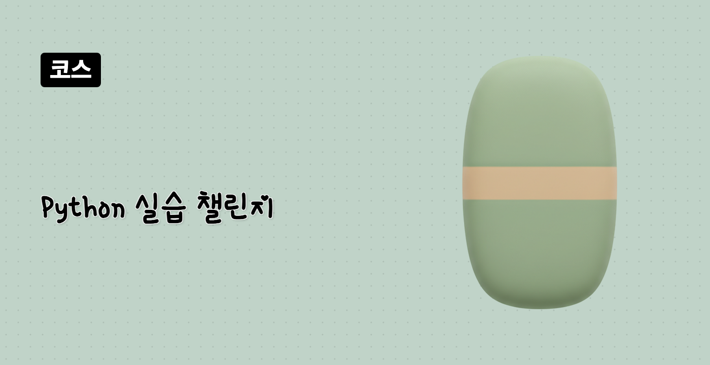 Python 실습 챌린지